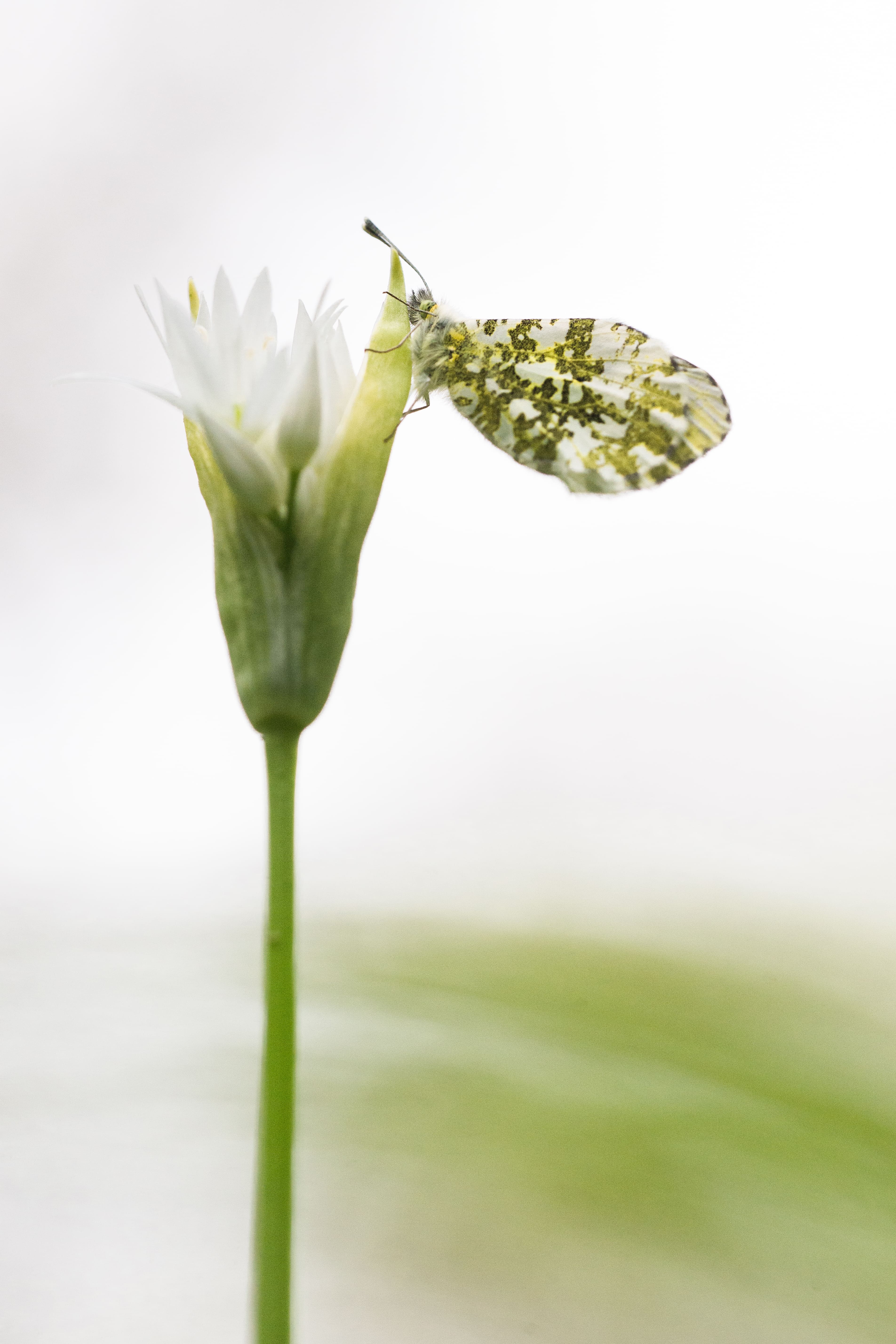 Concours photos du 15 avril au 15 mai 2026